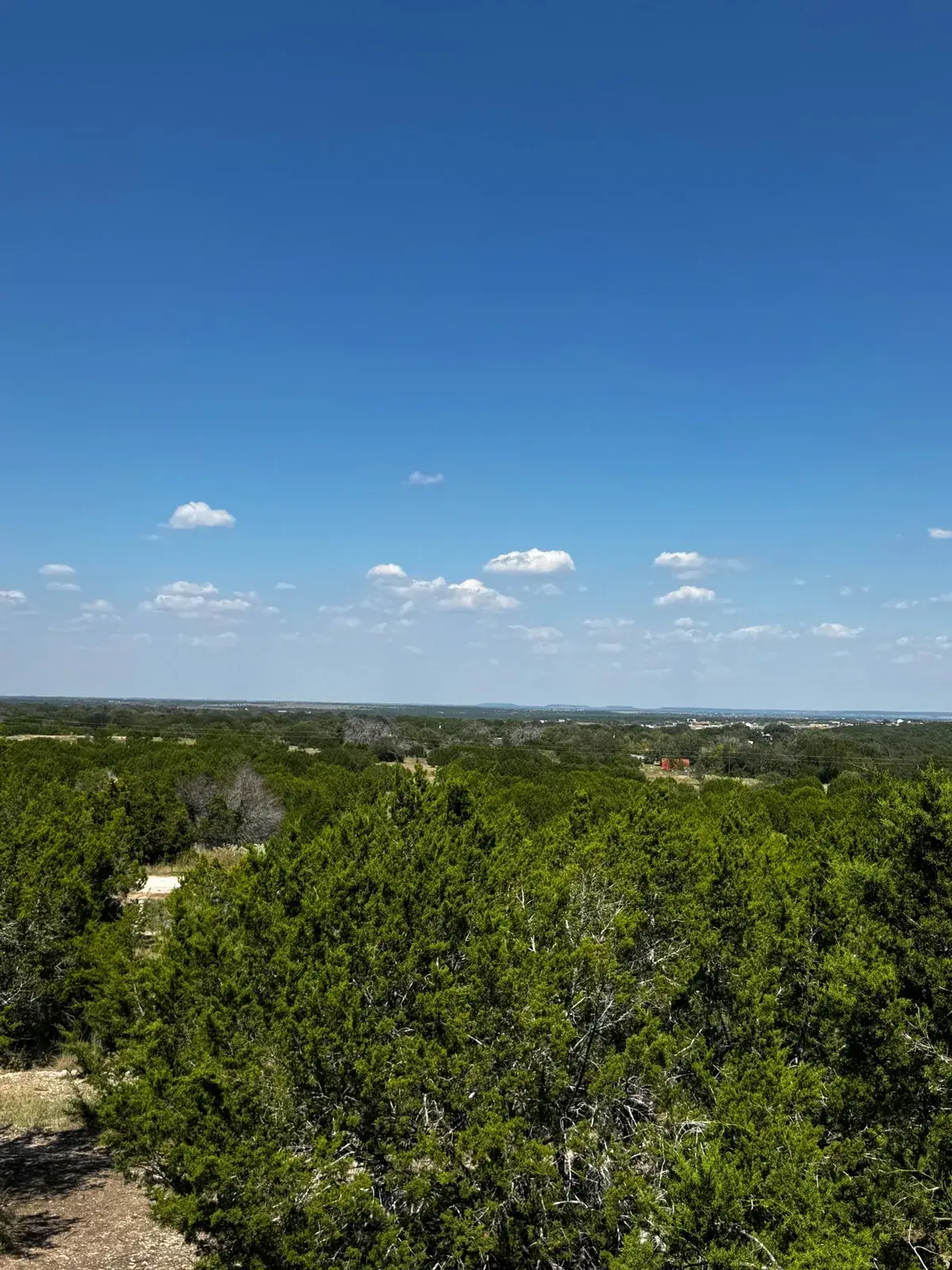 The view from the balcony out over the treetops and hills