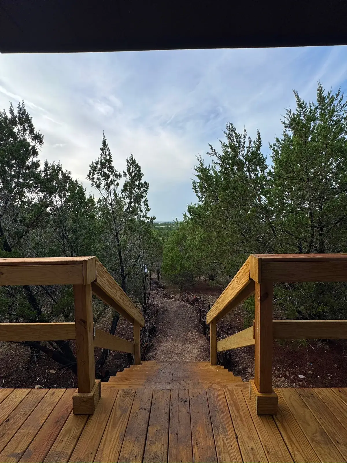 Looking down the deck stairs into the woods