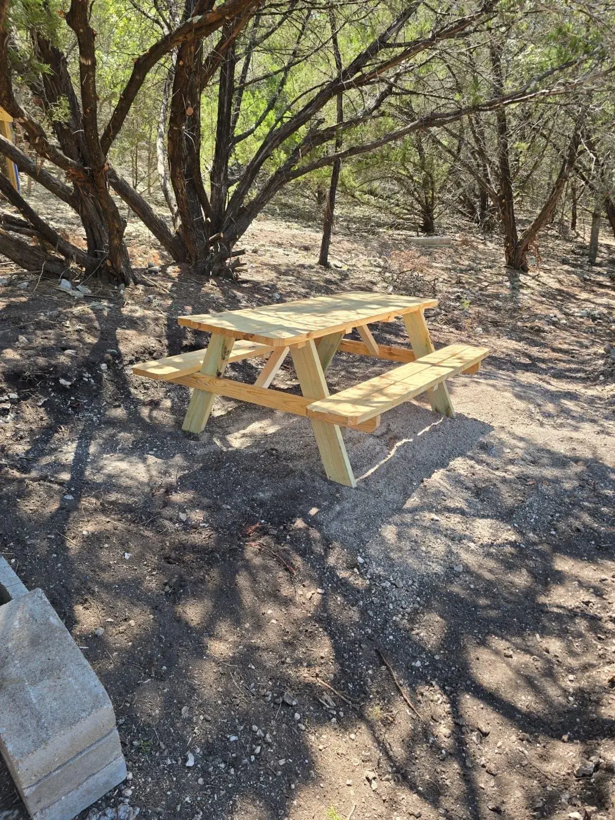 A wooden picnic table in the shade of the oak grove